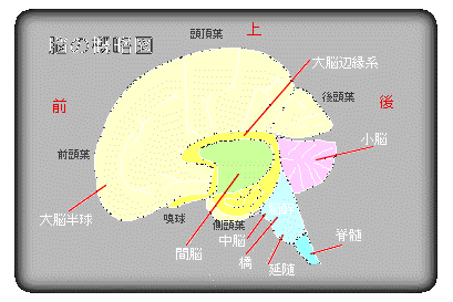 ]T}