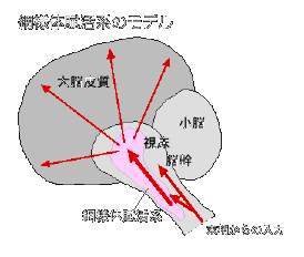 ]T}